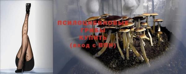 прущая мука Абаза